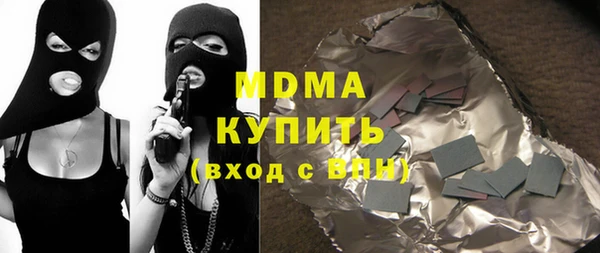 индика Гусь-Хрустальный