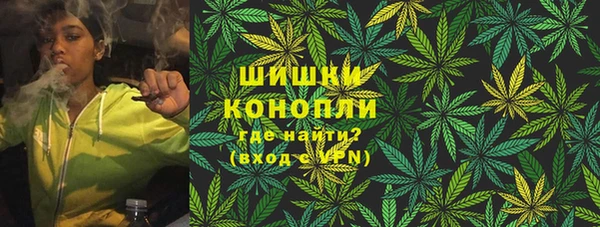 индика Гусь-Хрустальный