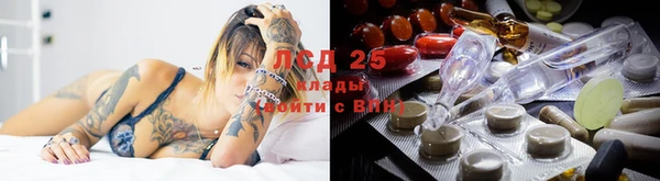 молекула духа Гусев