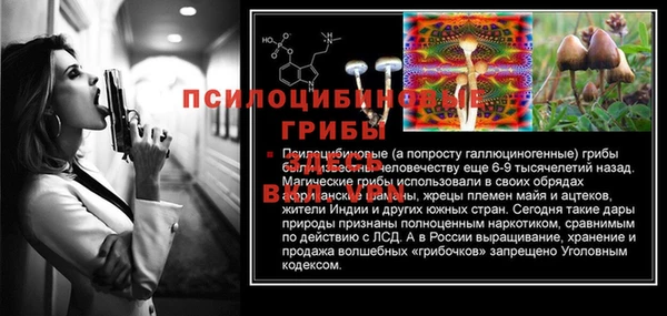 спиды Дмитров