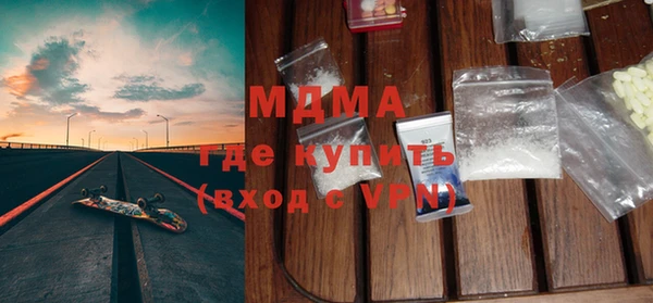 индика Гусь-Хрустальный