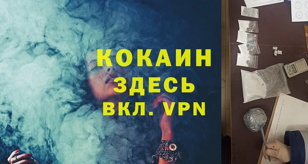 PSILOCYBIN Дмитриев