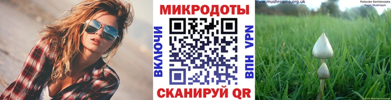 Галлюциногенные грибы прущие грибы  Петровск-Забайкальский 